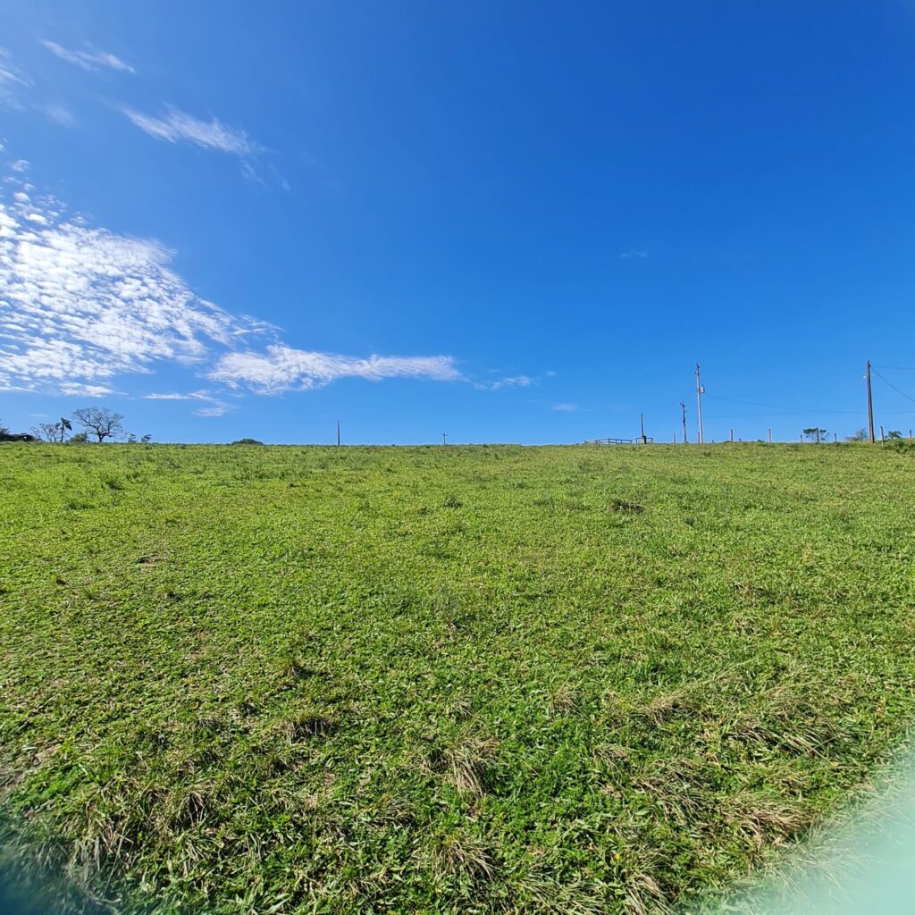 f8b93dd6-d6ad-4e09-8f5c-cb0bbe9435a4