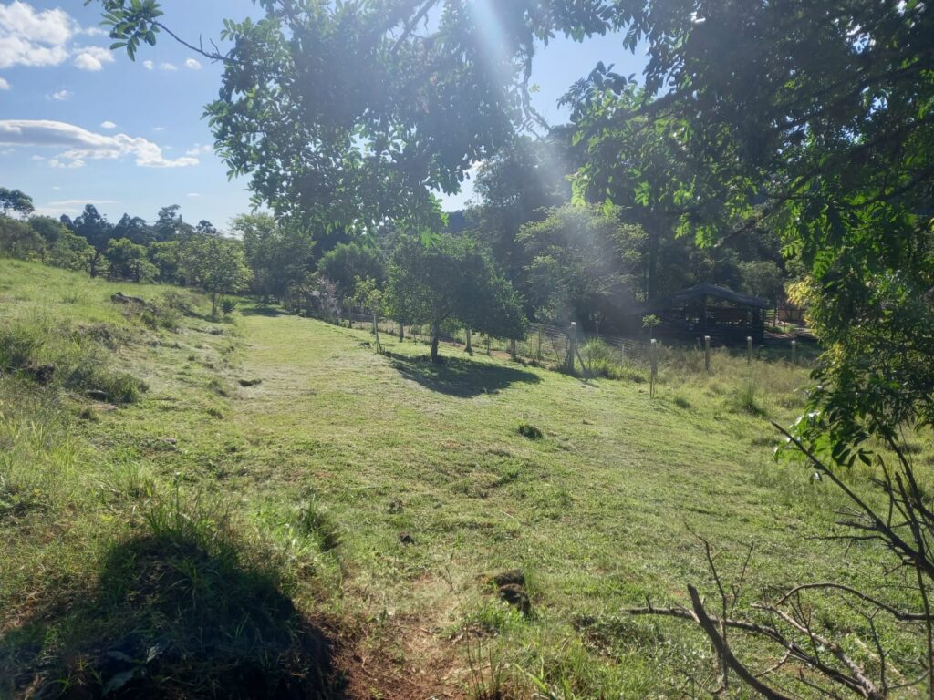 fb3ee100-fa92-4c5d-8986-fe77dcc98dfe