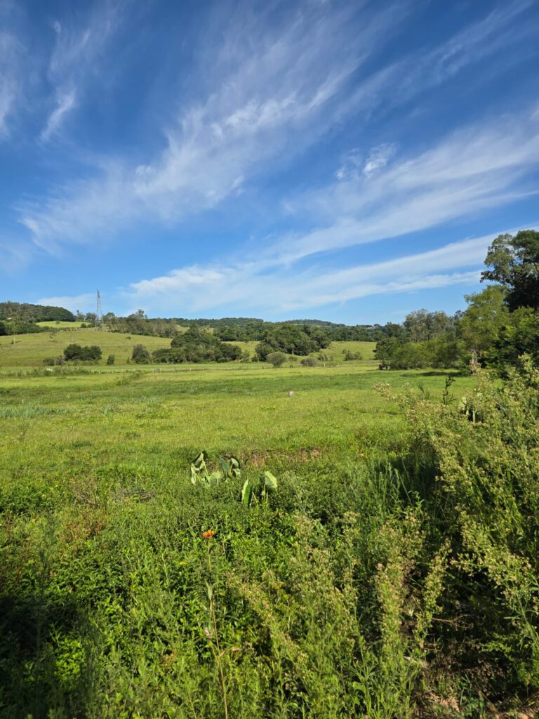 fd456704-8697-4142-acc3-f985d5f95f82