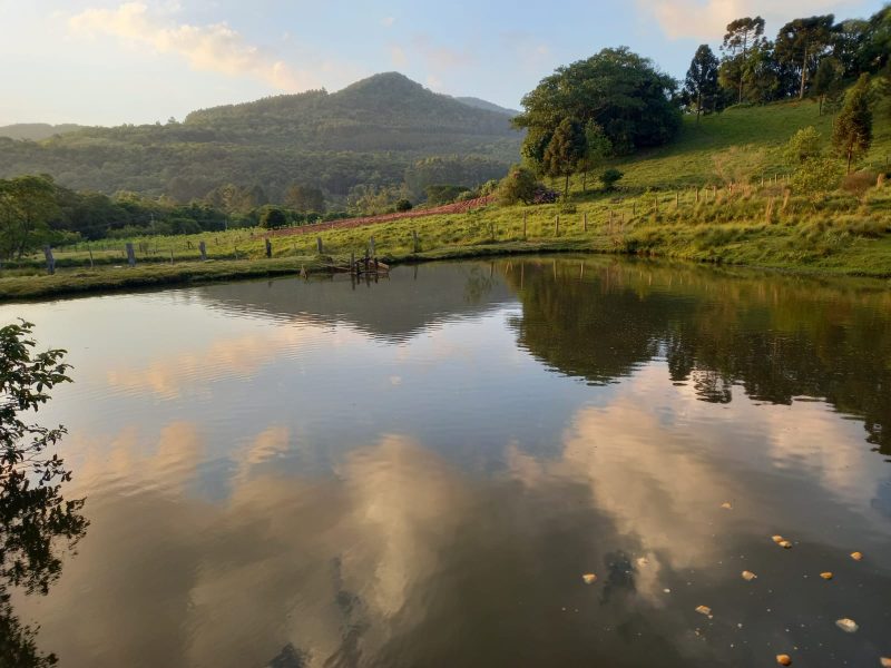 2fc6449c-0573-4b1e-8202-9b723fdcfa62