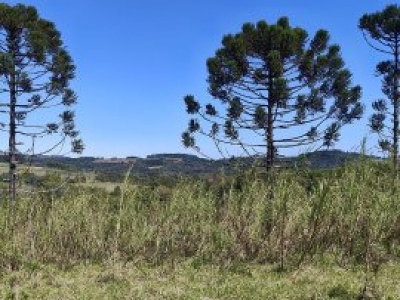 thumb_01102025090750