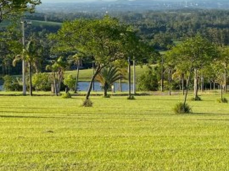 thumb_01122022024247