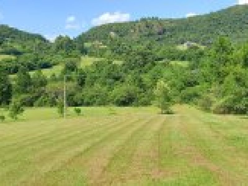 thumb_03022023103736