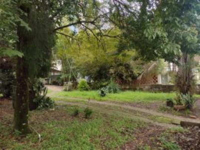 thumb_06092023043523