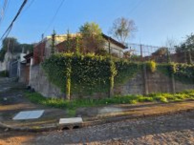 thumb_16082025091544