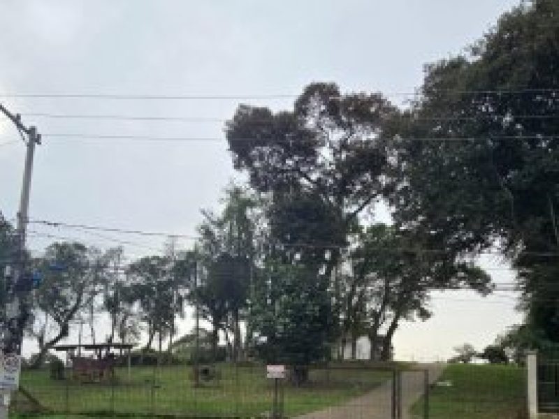 thumb_20082025025411