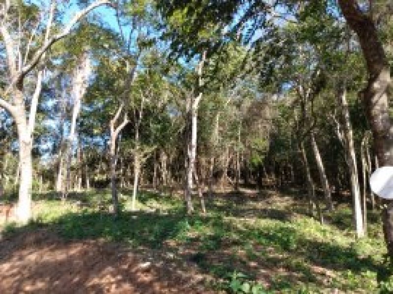 thumb_24082021075918