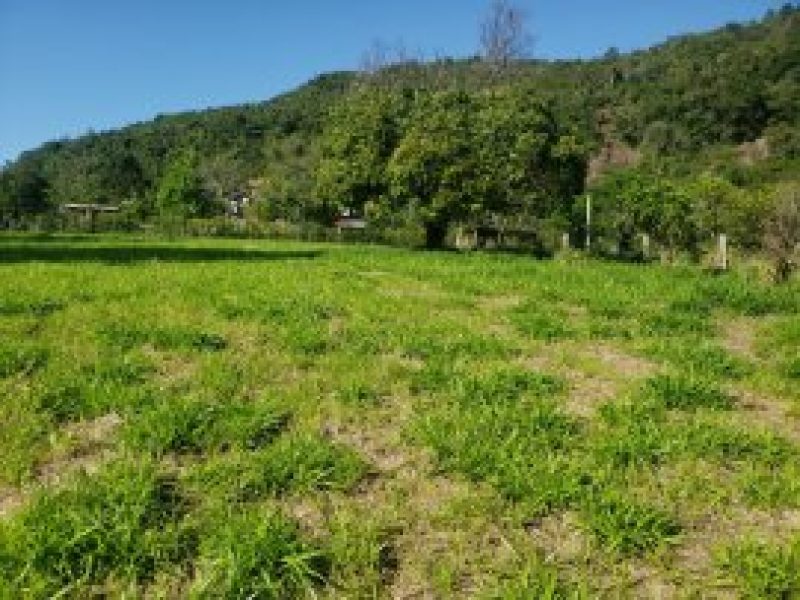 thumb_27072022101311