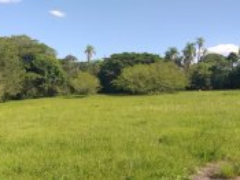 thumb_29032023095034